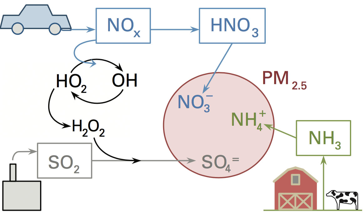 This sketch shows the three major emissions that form inorganic fine airborne particulate matter: nitrogen oxides (NOx) largely from vehicles, sulfur dioxide (SO2) from power plants and industrial facilities, and ammonia (NH3) from agricultural activities. Sunlight and chemical reactions in the atmosphere convert the emissions to new chemical species that can combine to form tiny particles known as PM2.5.